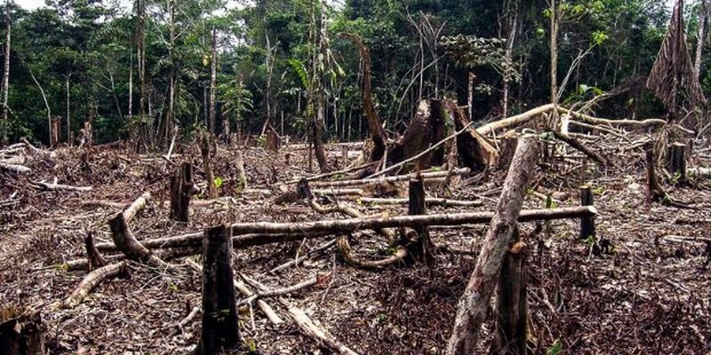 7bb62b96ba00414b985769635721b7a2